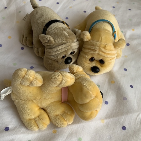 ❤️‍🔥 Two wrinkly faced puppies - Picture 3 of 8